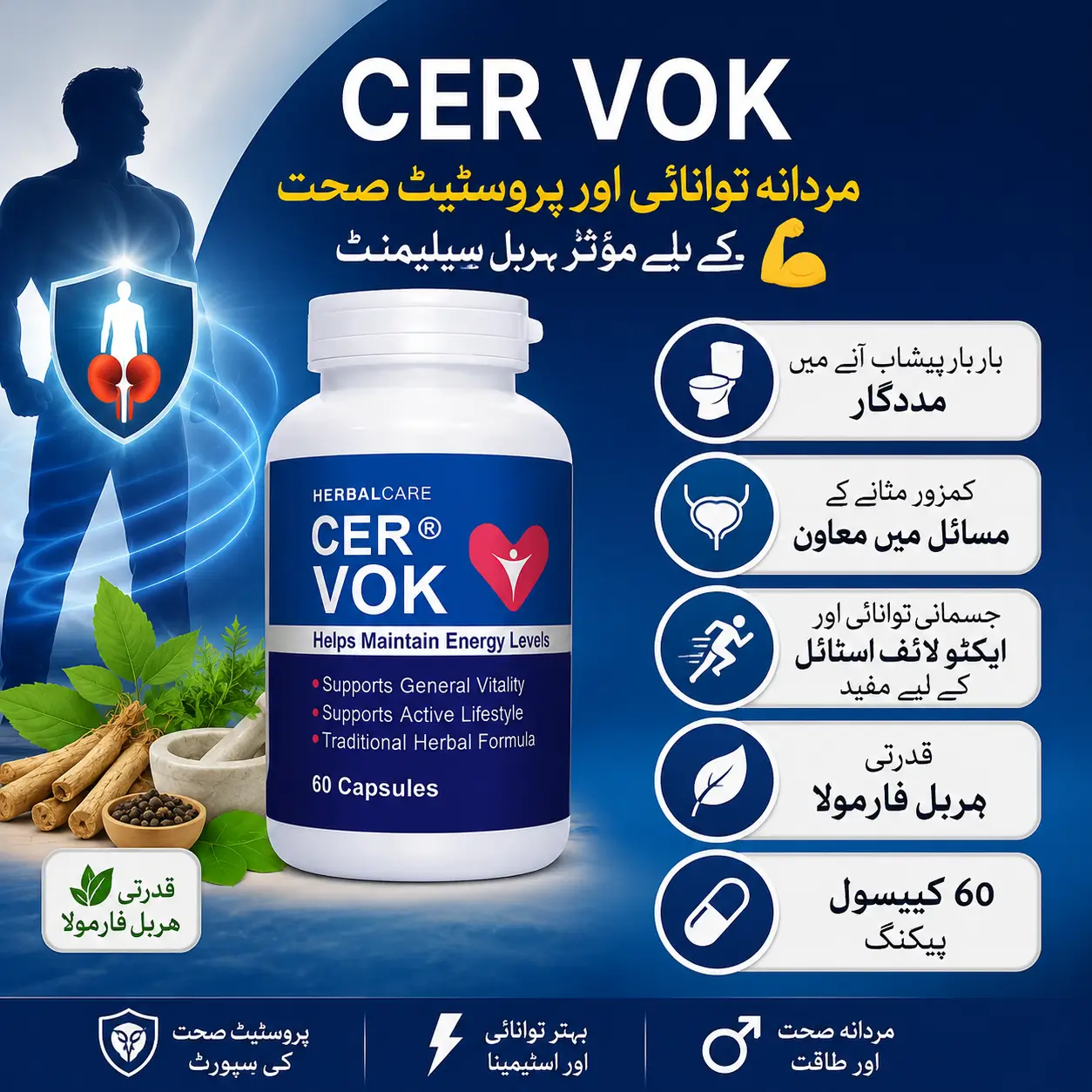 CER VOK prostate capsule with Saw Palmetto, Pumpkin Seed, and Nettle Root extracts